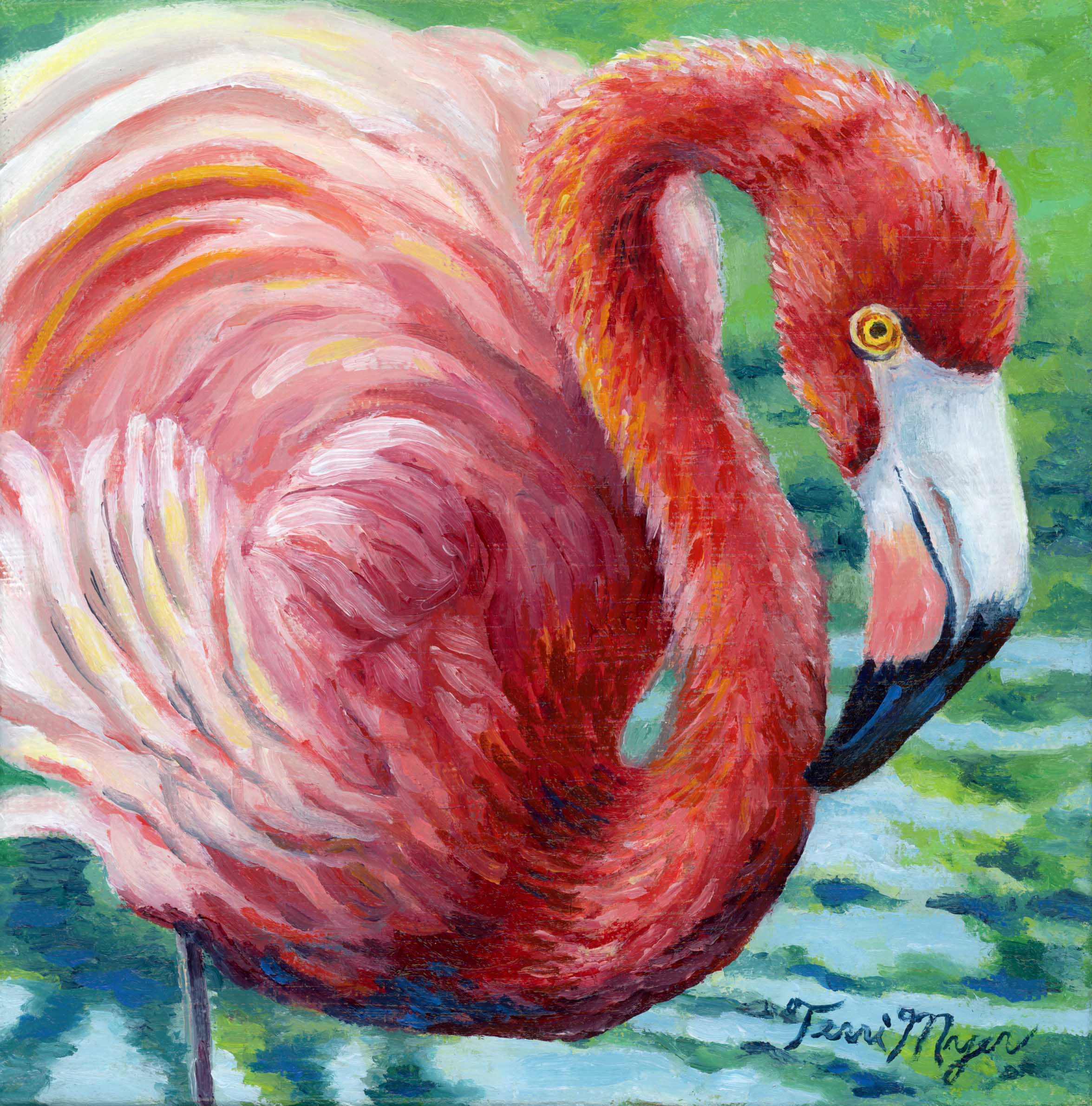 Pink Floyd - a single flamingo