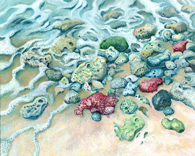 Coastal Coral
