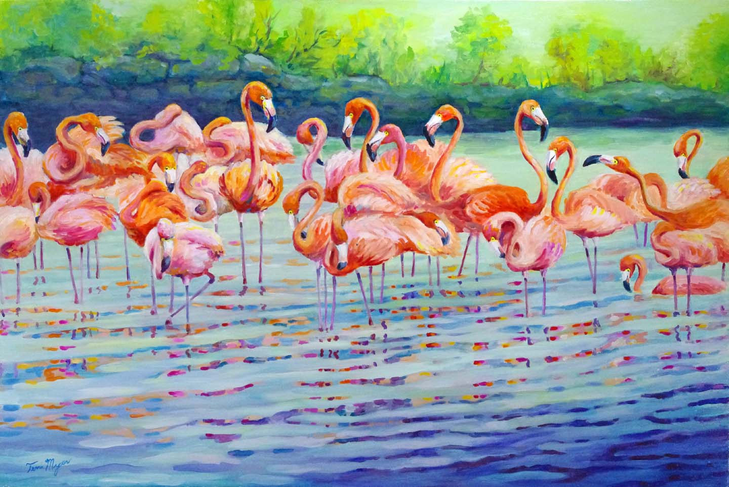 Flamingos