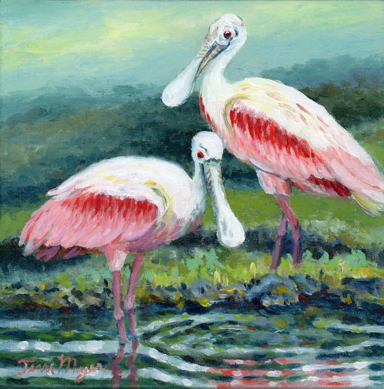 Spoonbills